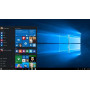 Windows 10 Professional OEM 32/64 Bit